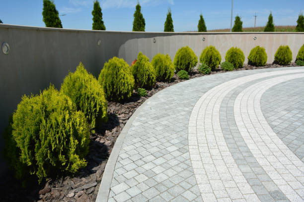 Best Decorative Driveway Pavers  in Bay Pines, FL